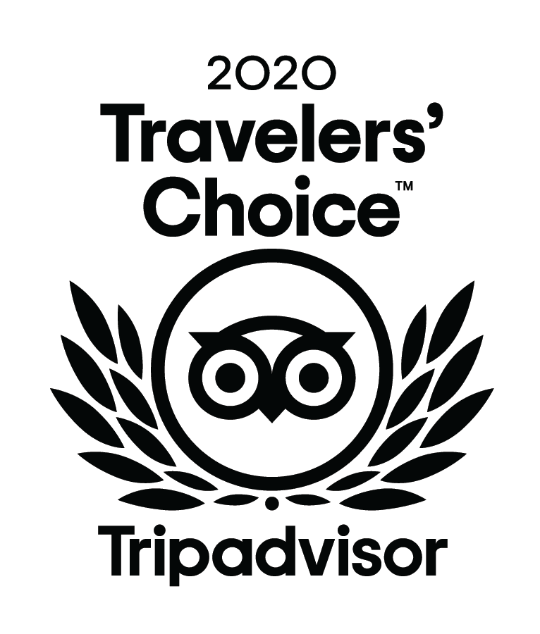 Travelers Choice Award 2020