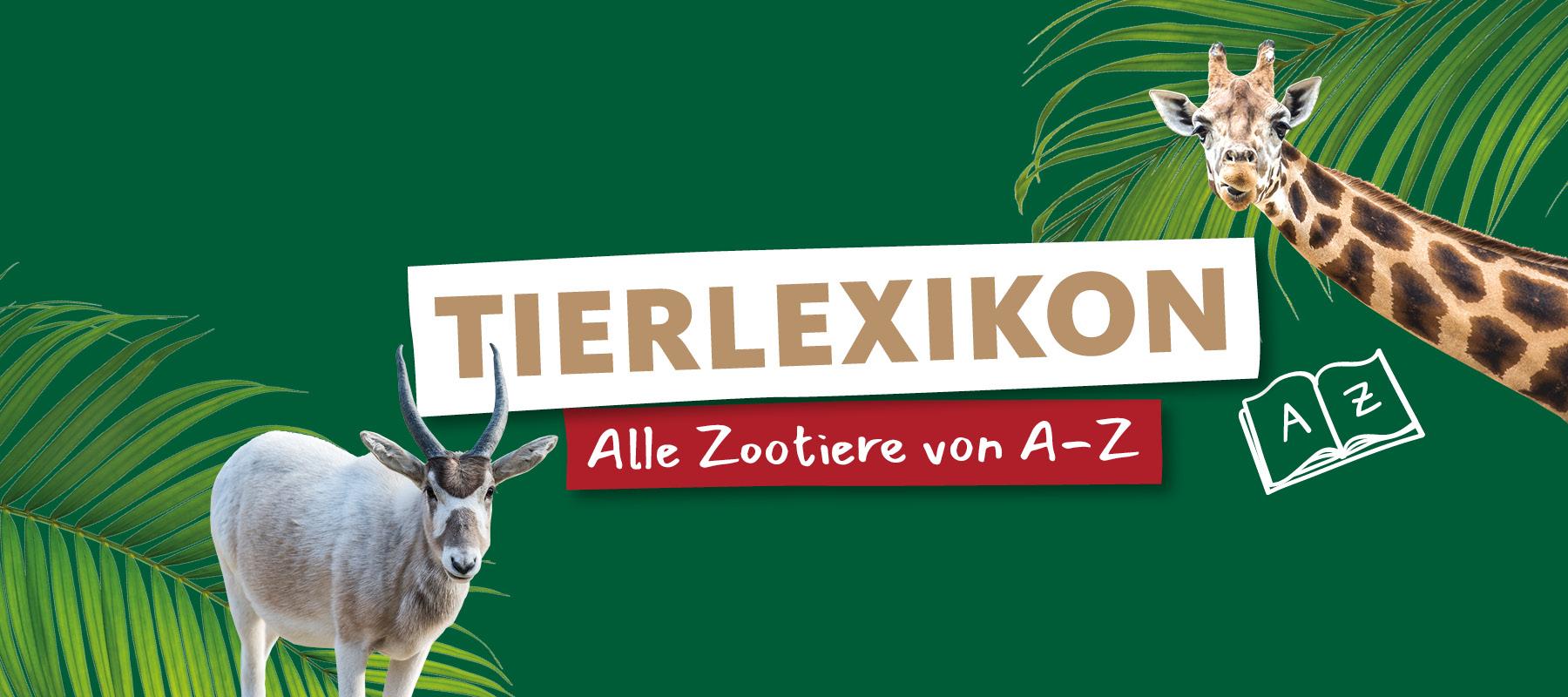 Alle Tiere im Erlebnis-Zoo Hannover von A-Z