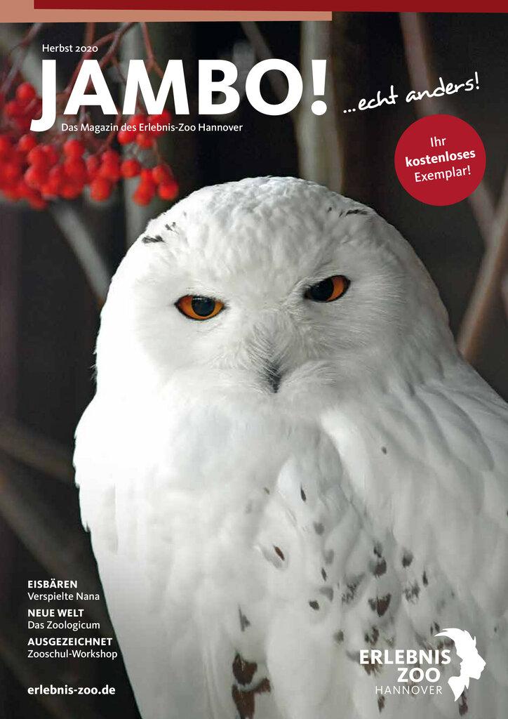 Jambo! Cover