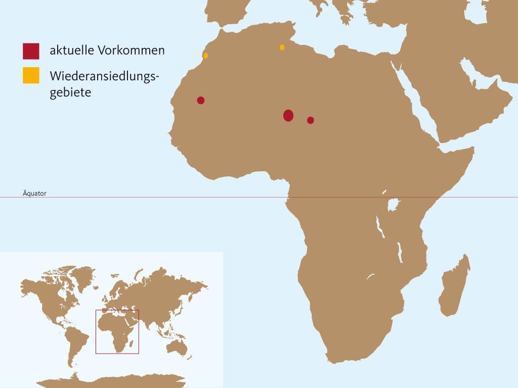 Karte des Verbreitungsgebietes der Addax-Antilope in Afrika.