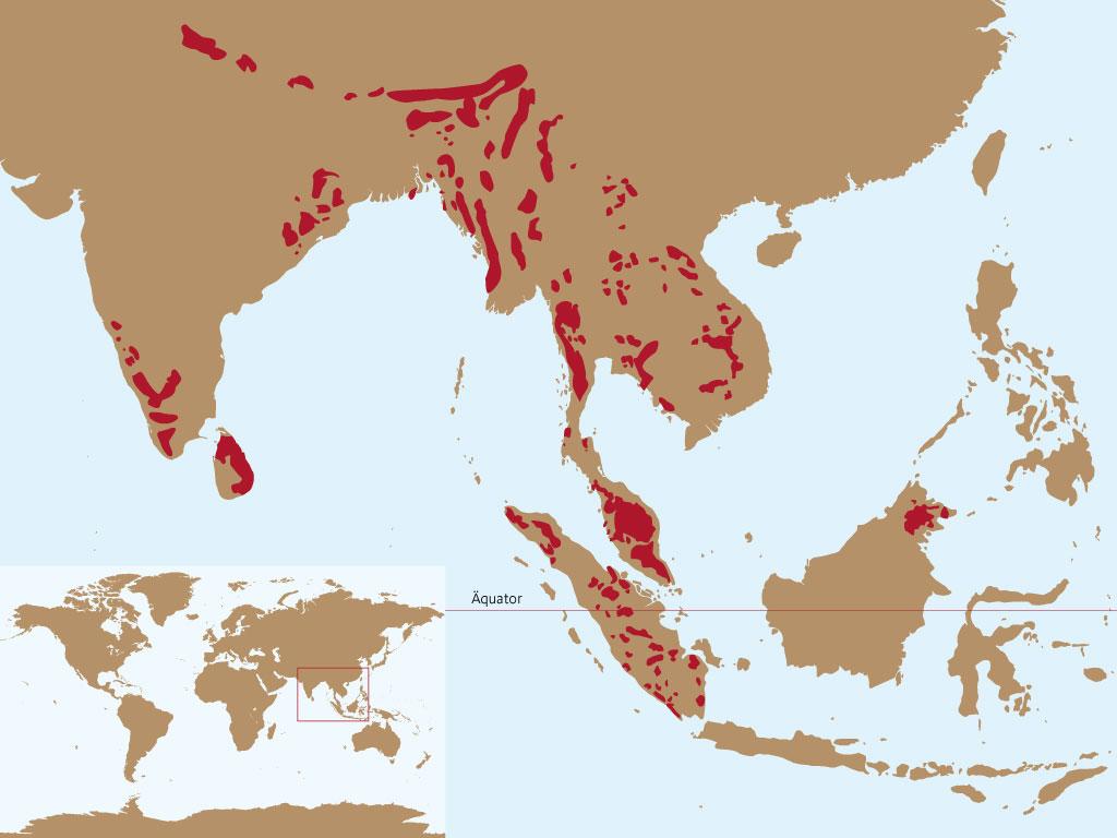 Karte des Verbreitungsgebietes Asiatischer Elefant