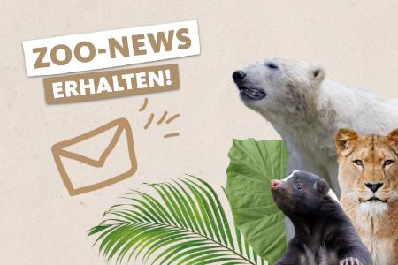 Icon: Anmeldung zum Zoo-Newsletter
