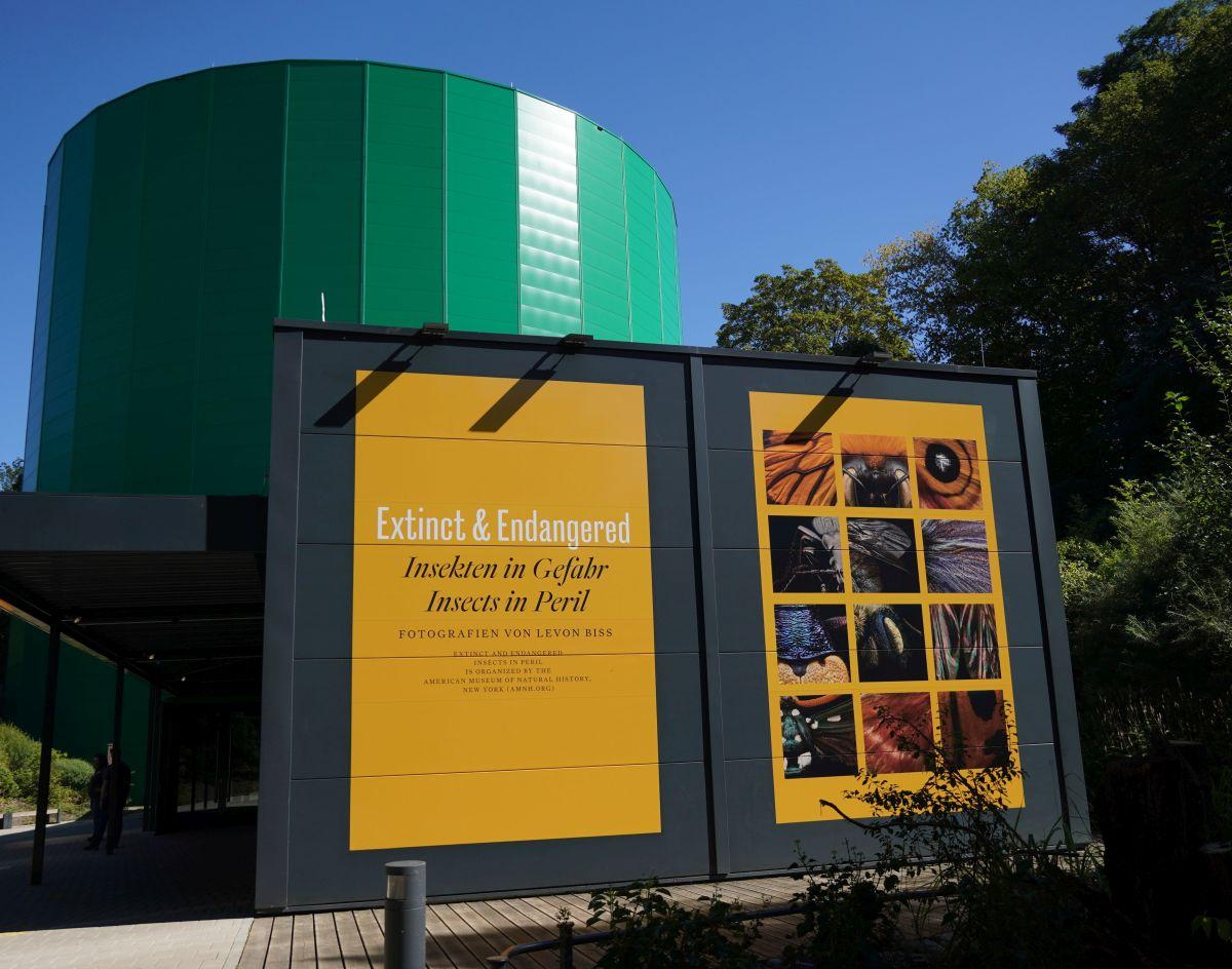 Extinct & Endangered ist ab dem 9. September im Zoo-Ausstellungsgebäude zu sehen.