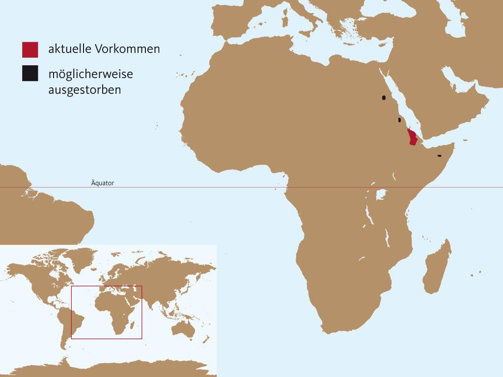 Verbreitung Somali Wildesel