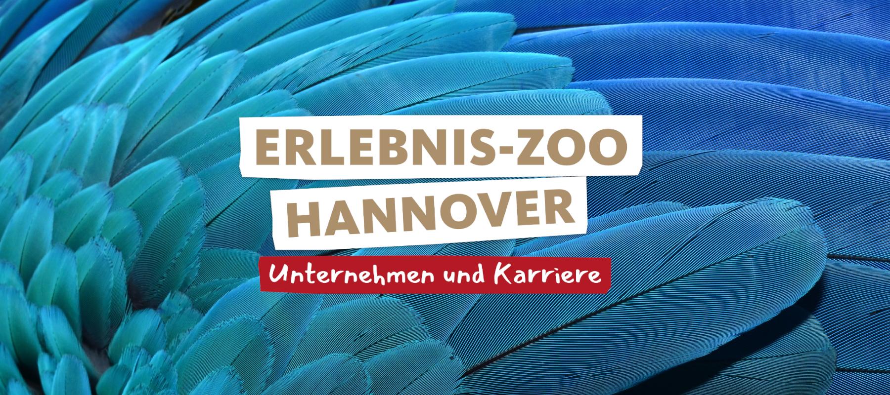 Banner: Erlebnis-Zoo Hannover - Unternehmen und Karriere