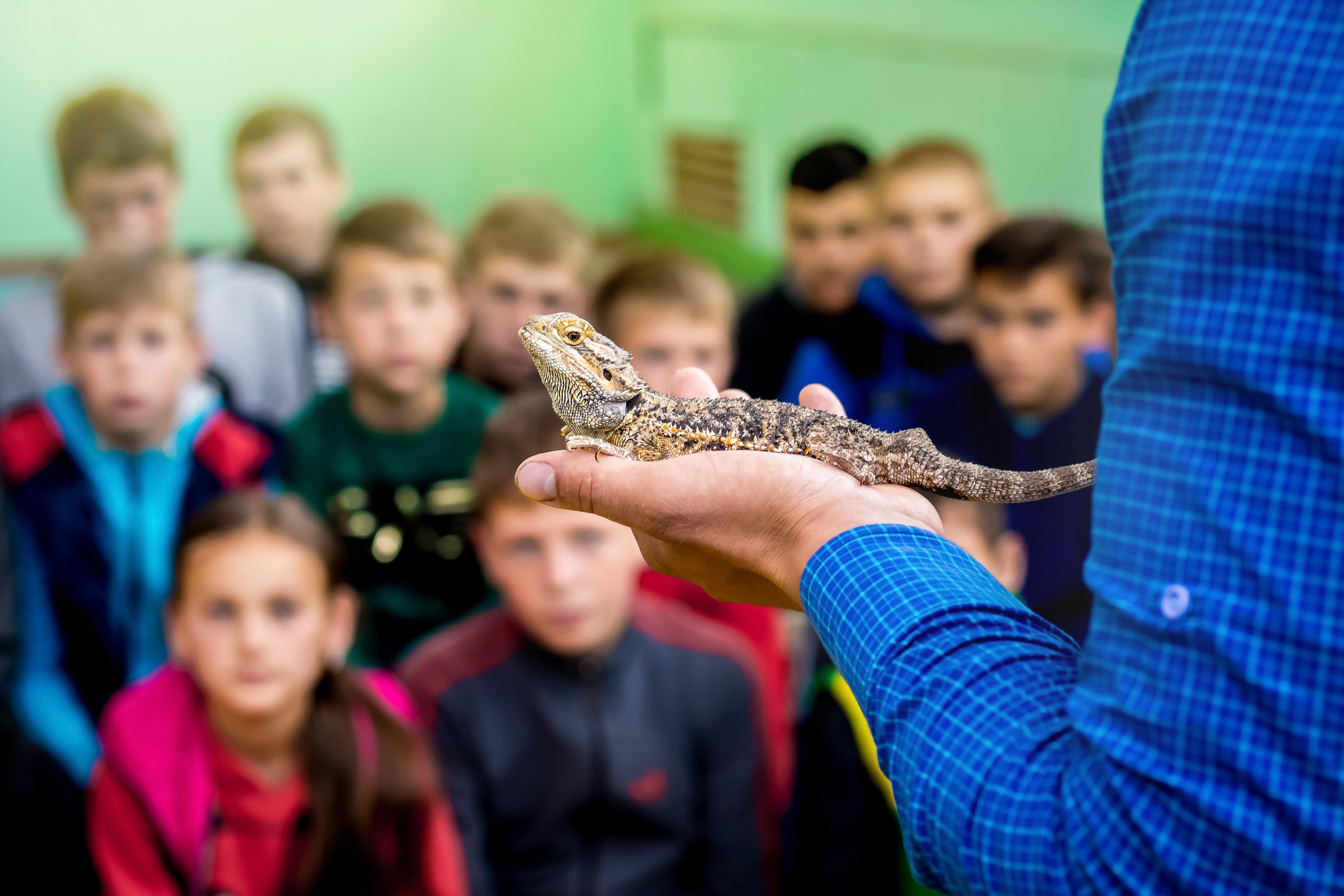 Zooschule: Ausserschulischer Lernort mit Tierkontakt