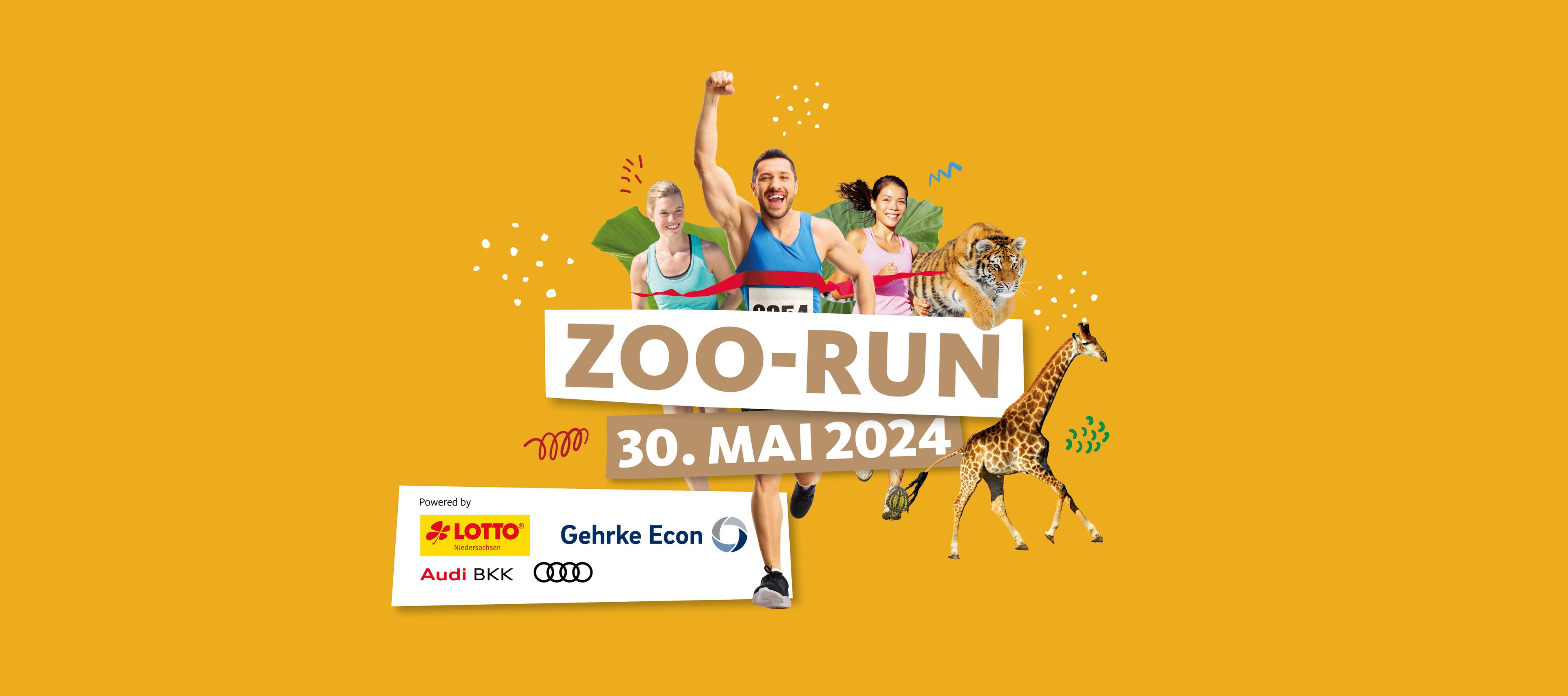 Zoo-Run 2024