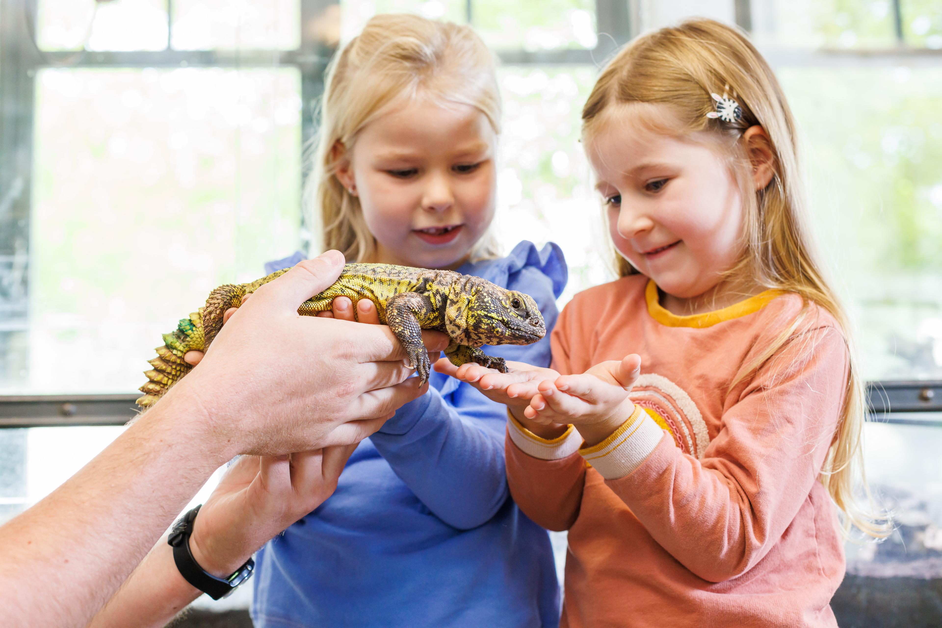 Achatschnecke im Zoo: Lernen bei der Tierbegegngung