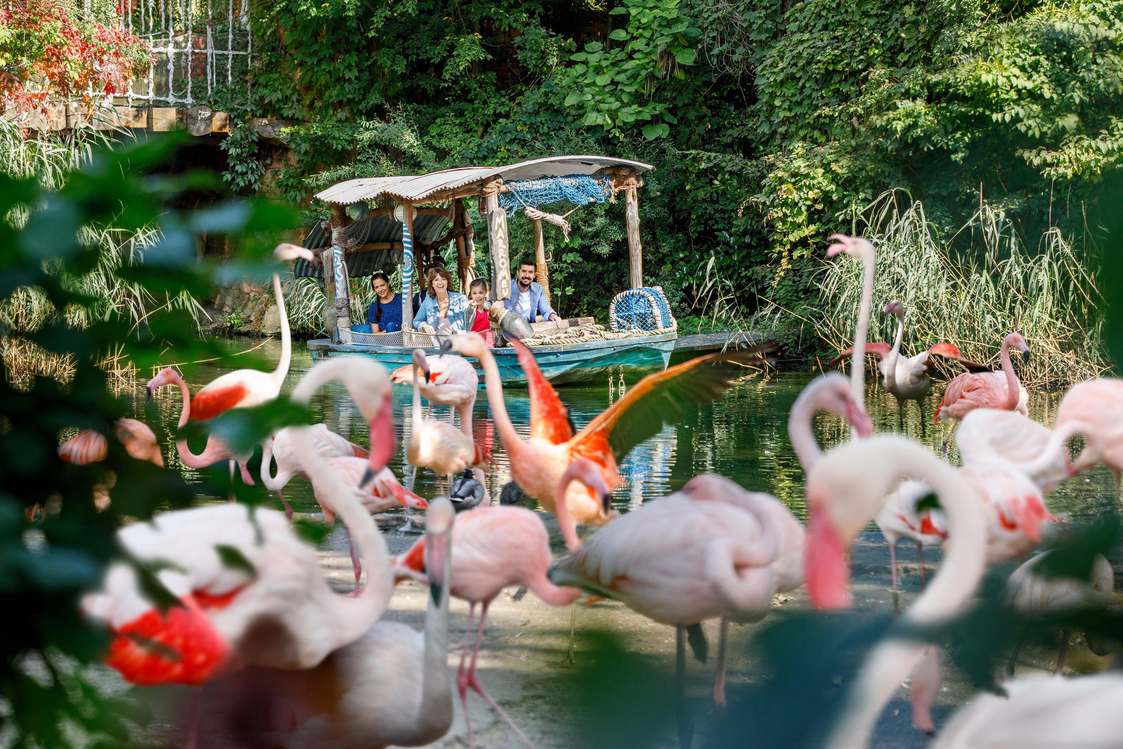 Boot auf dem Sambesi mit Flamingos