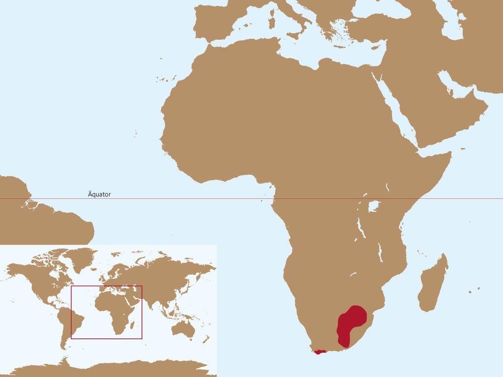 Karte des Verbreitungsgebietes des Blessbocks