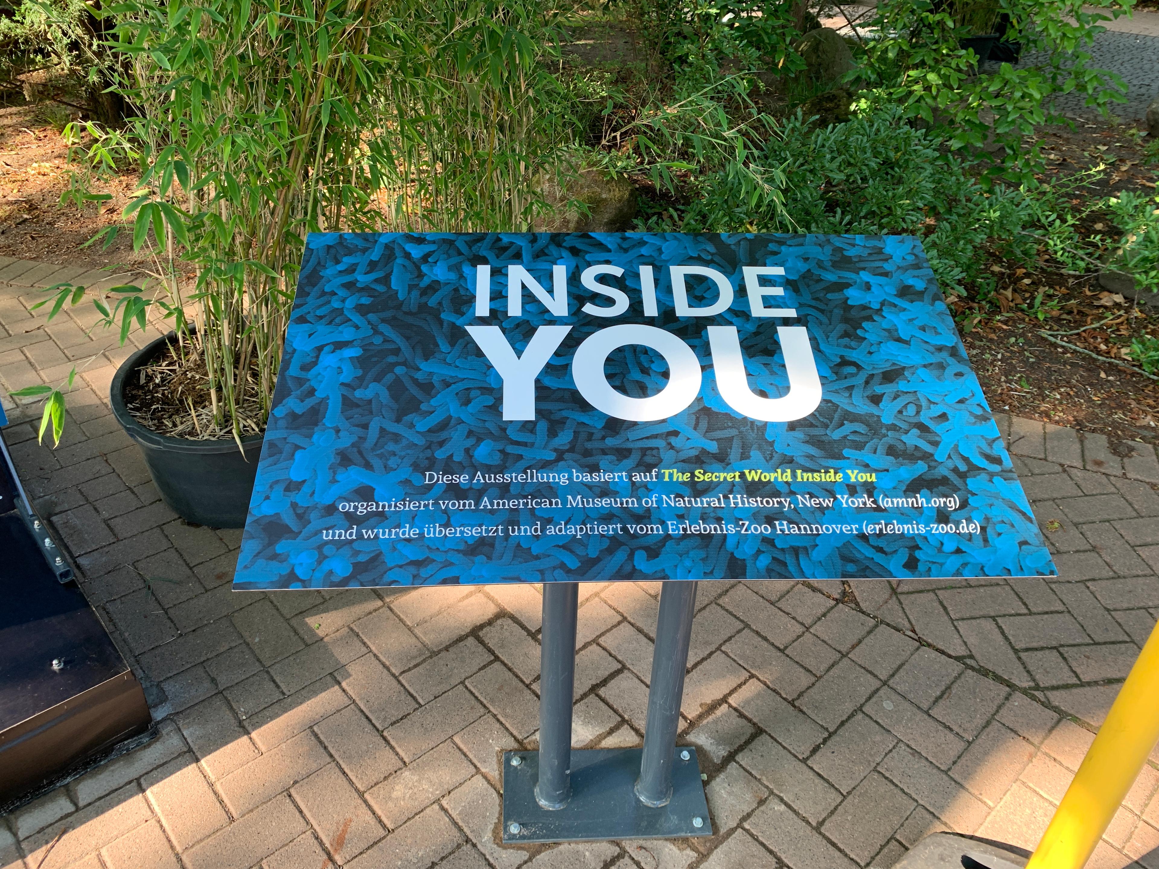 Inside You - Spannende Ausstellung, kostenlos im Erlebnis-Zoo Hannover