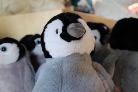 Nachhaltiger Plüsch-Pinguin aus Recycling-Material im Zoo